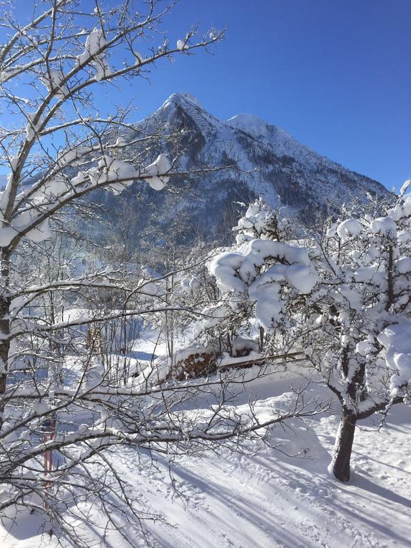 Ferienwohnungen Bailom Bach  Dış mekan fotoğraf